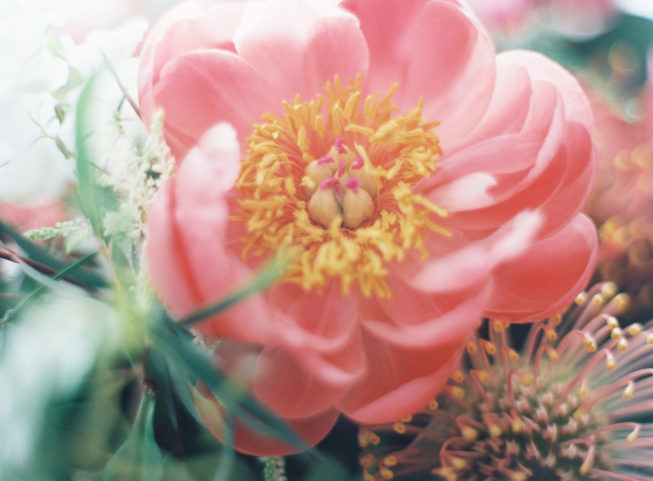 007061-R1-001 007061-R1-001