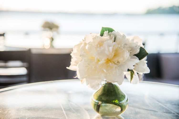 04-JW-Reception-052 04-JW-Reception-052