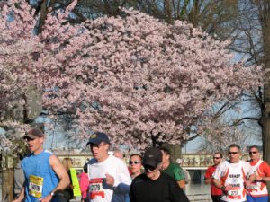 How To Train For The Cherry Blossom Ten-Mile Run In Six Weeks