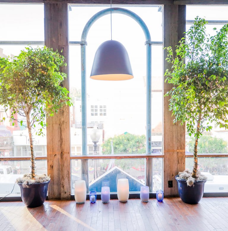 Ella-Cooper-Wedding-417 Ella-Cooper-Wedding-417