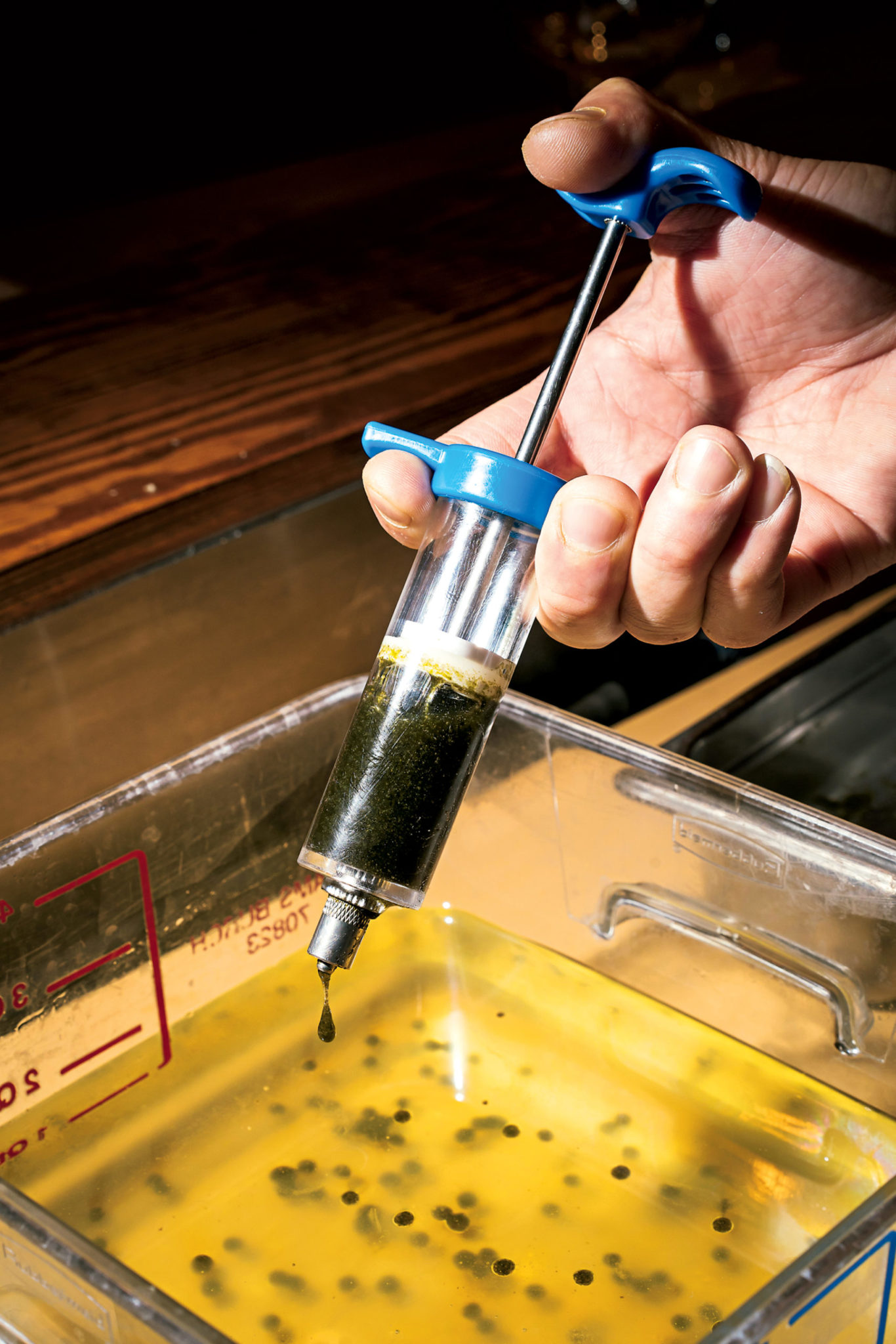 Photograph by Scott Suchman.