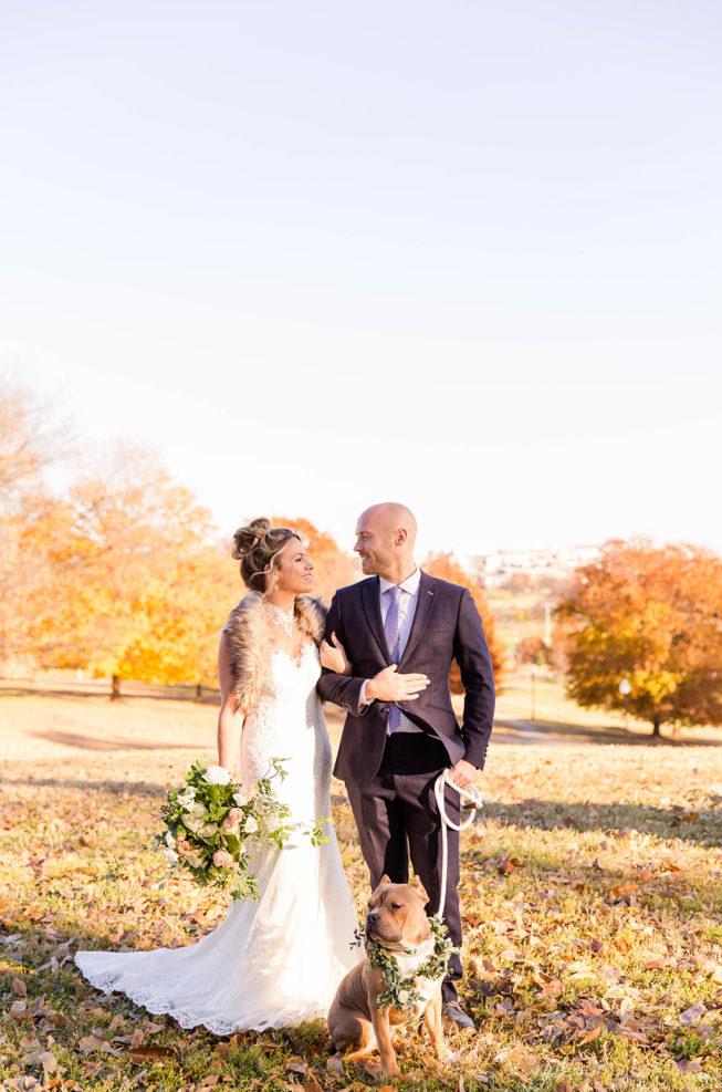 Rescue Puppies BARCS Baltimore Bloggers 3 Rescue Puppies BARCS Baltimore Bloggers 3