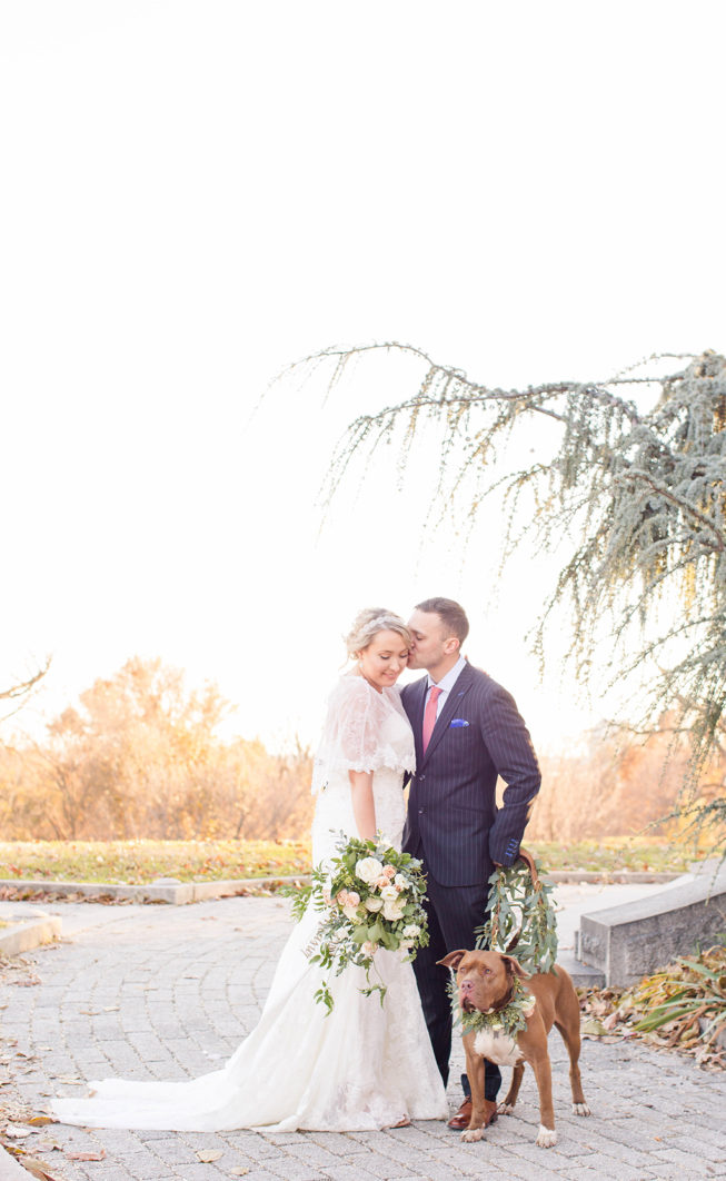 Rescue Puppies BARCS Baltimore Bloggers 8 Rescue Puppies BARCS Baltimore Bloggers 8