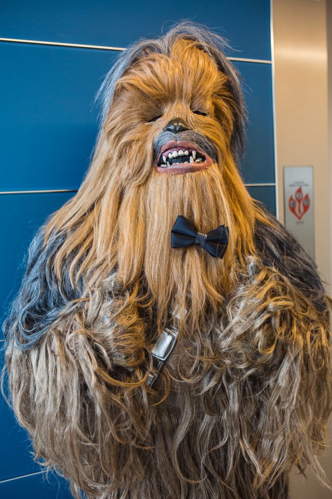 star wars themed wedding washington dc wedding Emily Dave WWE 19 star wars themed wedding washington dc wedding Emily Dave WWE 19