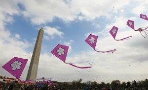 Updated: National Cherry Blossom Festival Announces Changes Due to Coronavirus