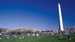The 6 Best Cherry-Blossom Events in DC