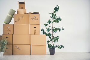 Everything You Need to Know About Downsizing