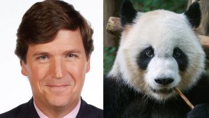 Tucker Carlson Correctly Reports on How Sucky Pandas Are