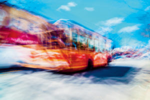 My Pleasant Suburb Is Going a Little Bit Crazy