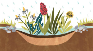 Eight Ways to Make Your Yard More Environmentally Friendly