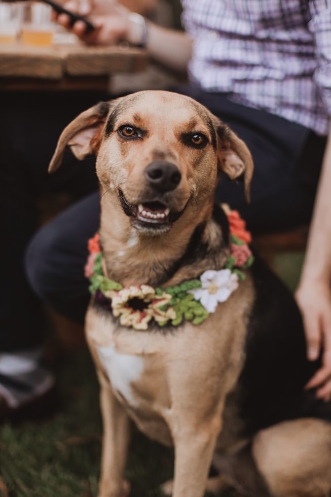 Laura Gathercole + Alex Kopp | L.A. Birdie 24 Laura Gathercole + Alex Kopp | L.A. Birdie 24