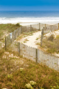 Guide to DC Beaches: Which Beach Should You Visit?