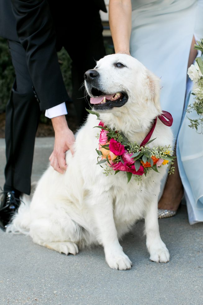 Caroline Elizabeth Ross + Ryan Canfield | Lauren Balingit17 Caroline Elizabeth Ross + Ryan Canfield | Lauren Balingit17