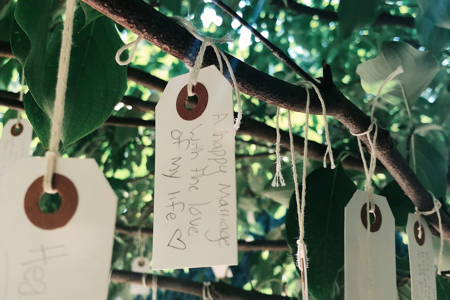 Hirshhorn Wish Tree