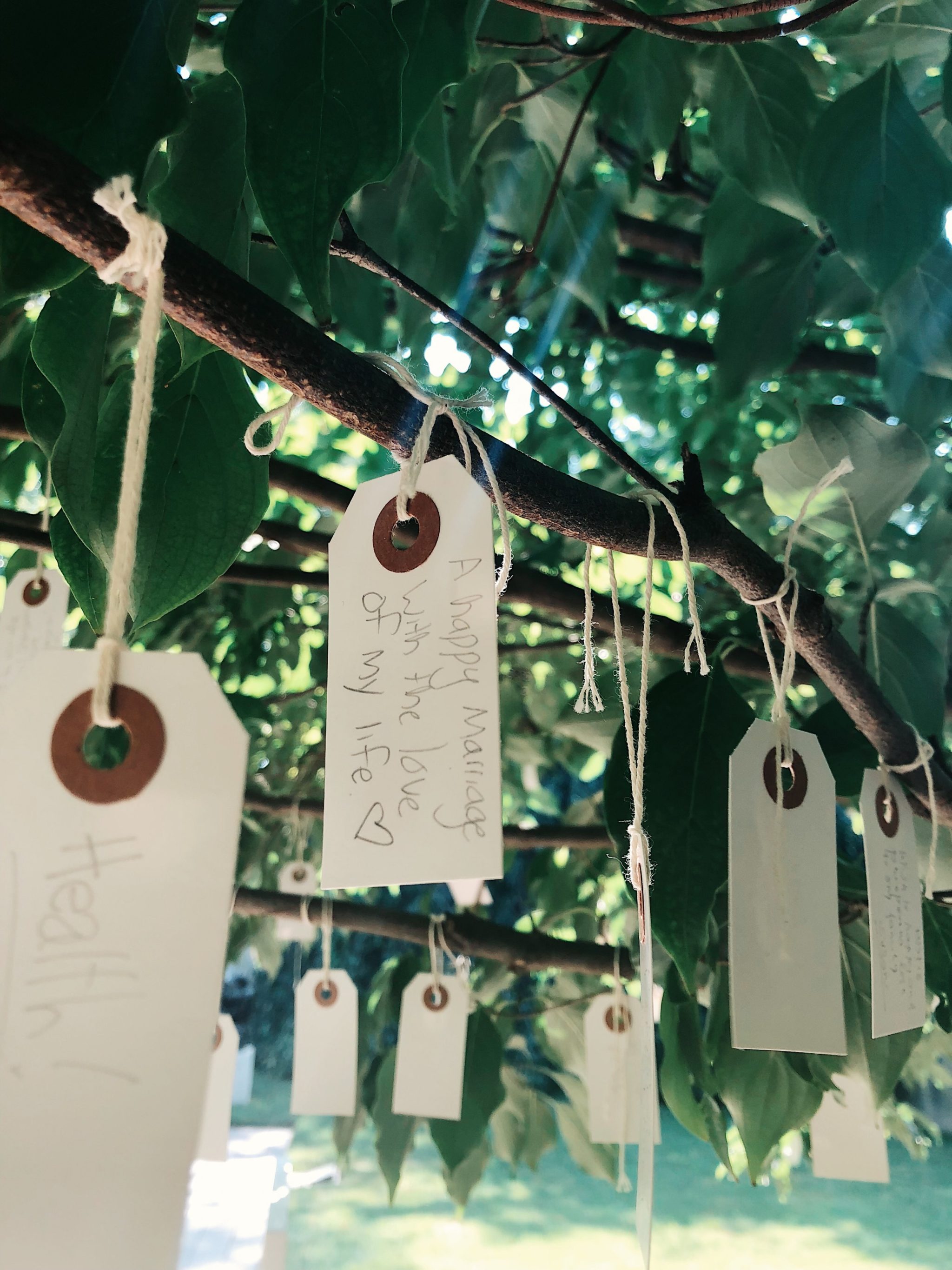 Hirshhorn Wish Tree