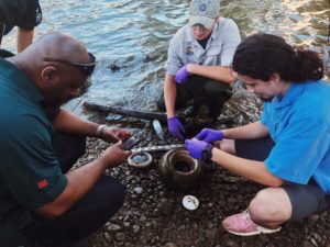 Mussels Could Help Make the Anacostia Safe for Swimming