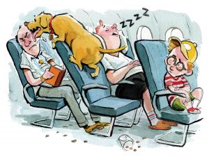 How to Be Courteous While Traveling with Your Pet