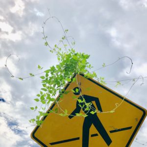 Washingtonian Today: A Holdout Juror, a Spendy Congressman, and Cookie Dough Sandwiches