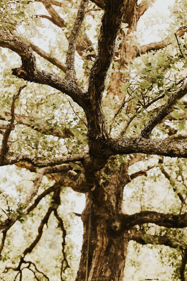 Summer Shepherd + Ben Deal2 Summer Shepherd + Ben Deal2