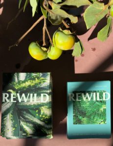 The Trendy Plant Store Rewild Is Opening a Second Location in Georgetown