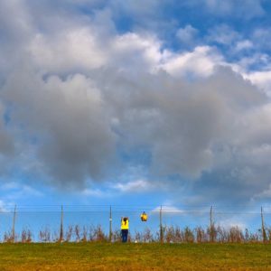 Washingtonian Today: Javanka’s Great Escape?