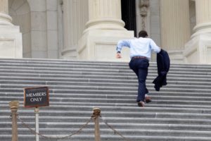 Washingtonian Today: Everything Lit Including the Trees