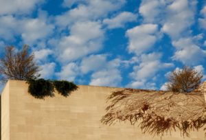 Washingtonian Today: Bei Bei Is Still Not Over the Snow