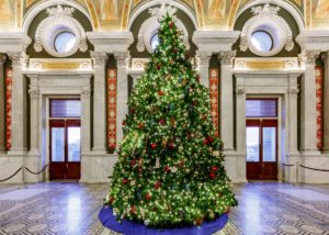 DC Christmas Trees, Ranked