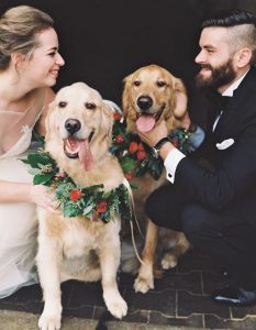This Couple’s Christmastime Wedding Incorporated Their Golden Retrievers in the Sweetest Way