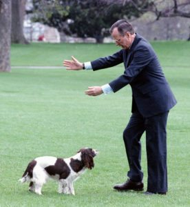 Washingtonian Once Called George H.W. Bush’s Dog Ugly, and I’m Here to Correct the Record
