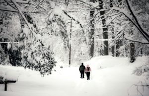 The 5 Best Winter Hikes and Walks Around Washington DC