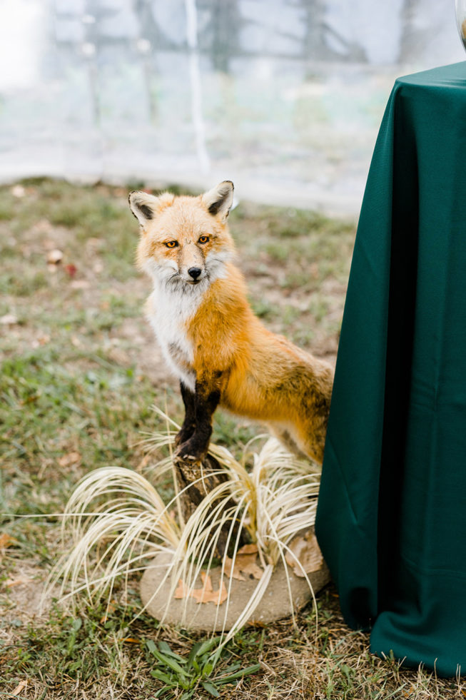 Lane Earnest & Parker McKee | Caroline Lima Photography | CarolineLimaPhotography_Lane_Parker_Wedding_2017_19 Lane Earnest & Parker McKee | Caroline Lima Photography | CarolineLimaPhotography_Lane_Parker_Wedding_2017_19