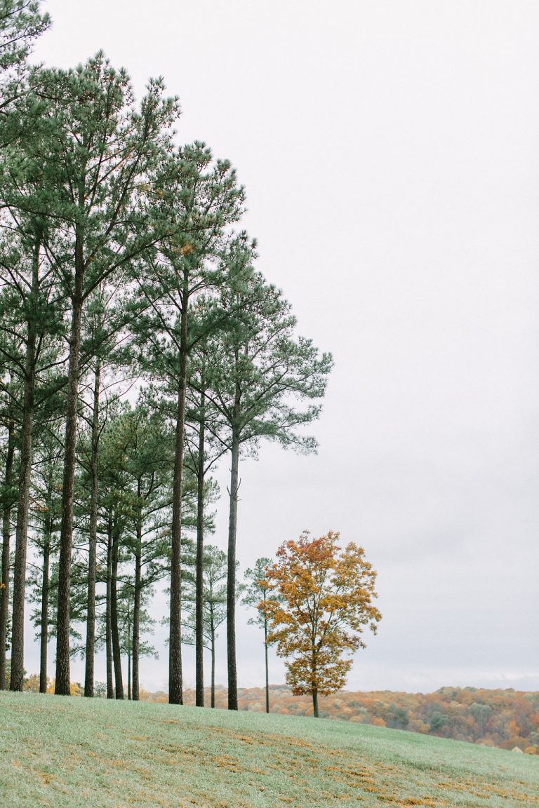 Sarah_Sneak_Peek_011 Sarah_Sneak_Peek_011