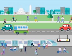 DC Commuter Chronicles: A Hedgehog That Blesses BW Parkway