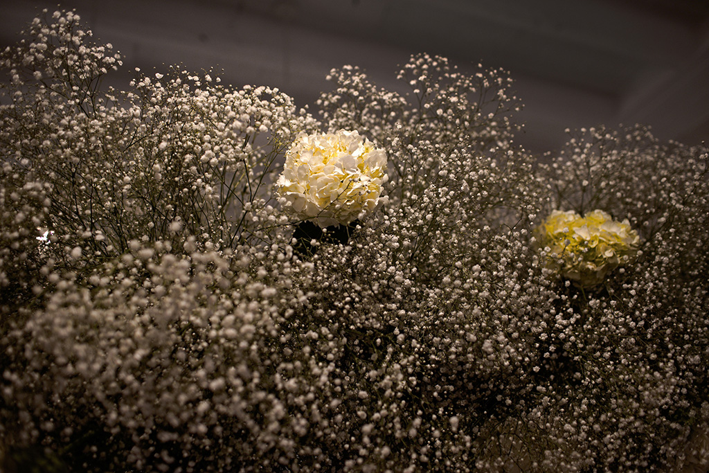 20181231__KDB22409.1 20181231__KDB22409.1