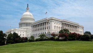 “Missed This”: Washingtonians Celebrate a Fence-less Capitol