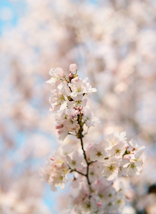 Kristin Corcoran + Clinton Wagoner | Audra Wrisley 009.1_K&C Kristin Corcoran + Clinton Wagoner | Audra Wrisley 009.1_K&C