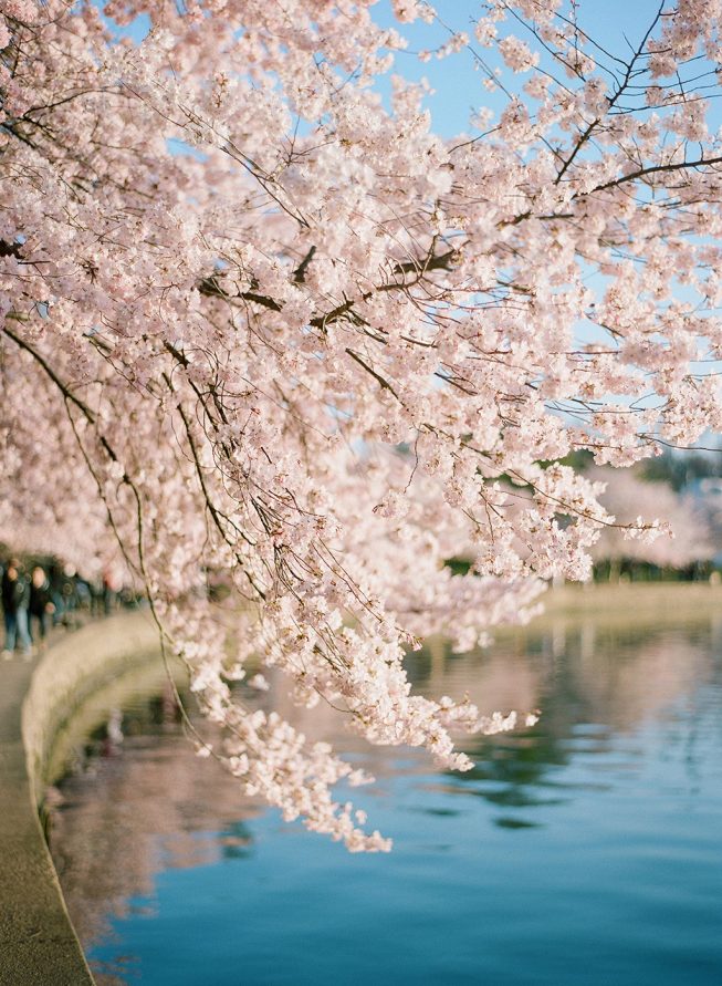 Kristin Corcoran + Clinton Wagoner | Audra Wrisley 014.1_K&C Kristin Corcoran + Clinton Wagoner | Audra Wrisley 014.1_K&C