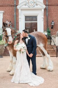 A Clydesdale Greeted Guests at This Oxon Hill Manor Wedding