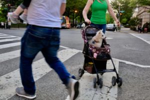 Washingtonian Today: Will Ron Chernow Rap During the WHCD?