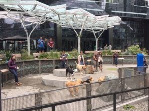 Potential Amazon Employees May Never Have to Leave Crystal City. That’s Not a Good Thing