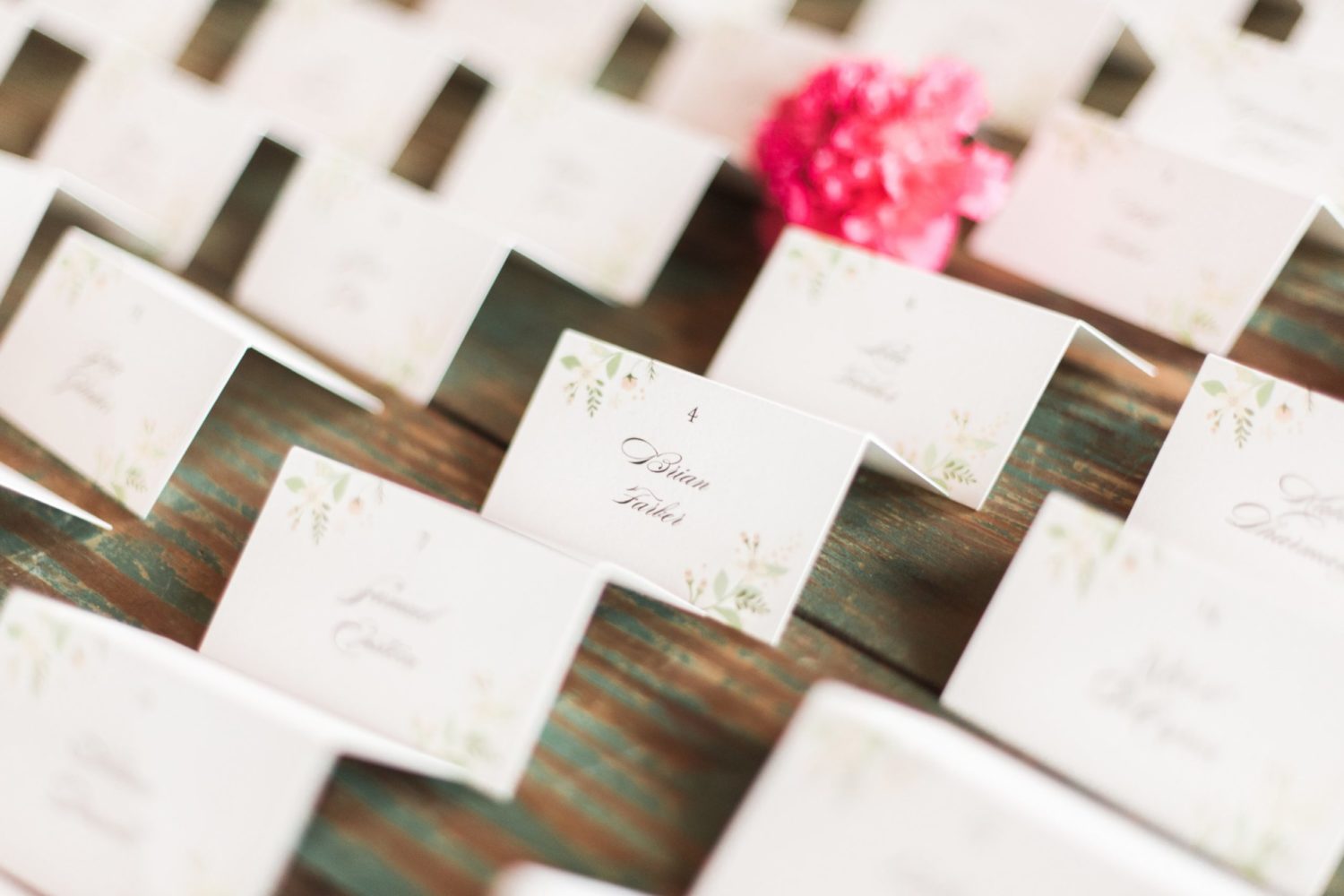 lucklovephotography indian-american-wedding