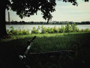 People Are Leaving Scooters All Over a National Park