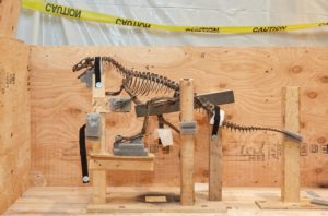 The Magic Behind What You’ll See at the Smithsonian’s New Fossil Hall