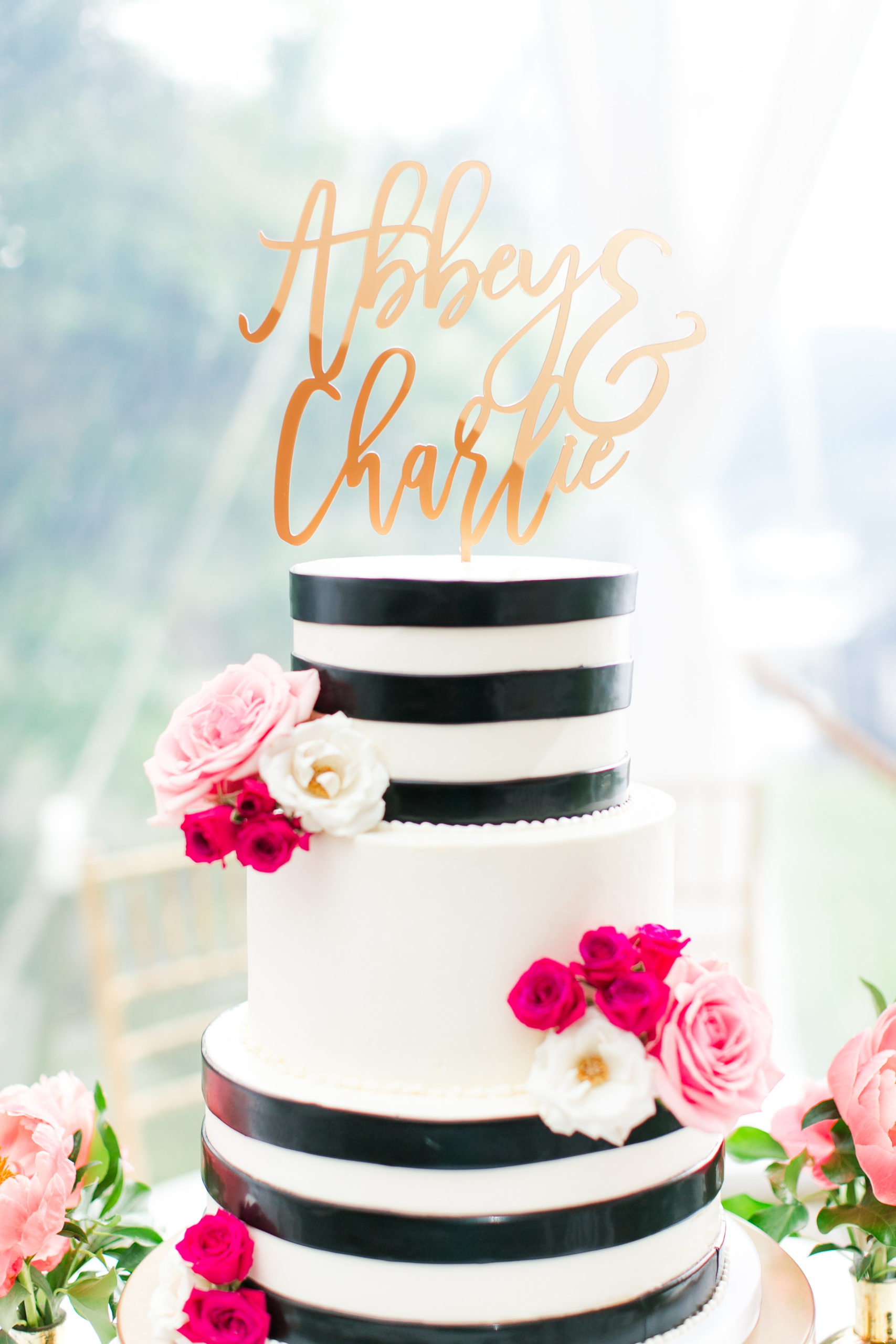 View More: https://kristimckeagphotography.pass.us/abbey-charlie-married