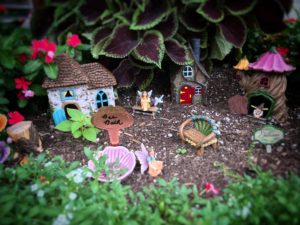 The Story Behind K Street’s Magical Fairy Garden Tree Box