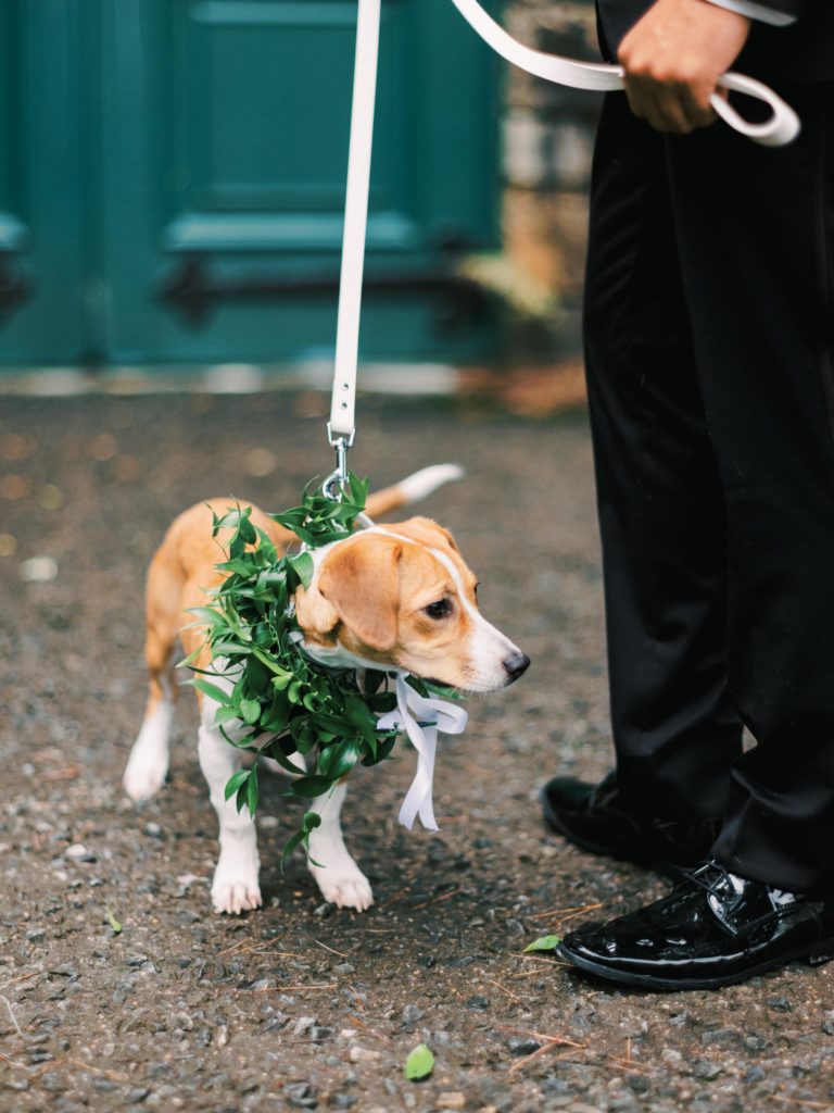 CCGF7526 maryland-wedding