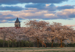 There Will Be Commemorations of Slavery’s Anniversary All Over DC this Weekend
