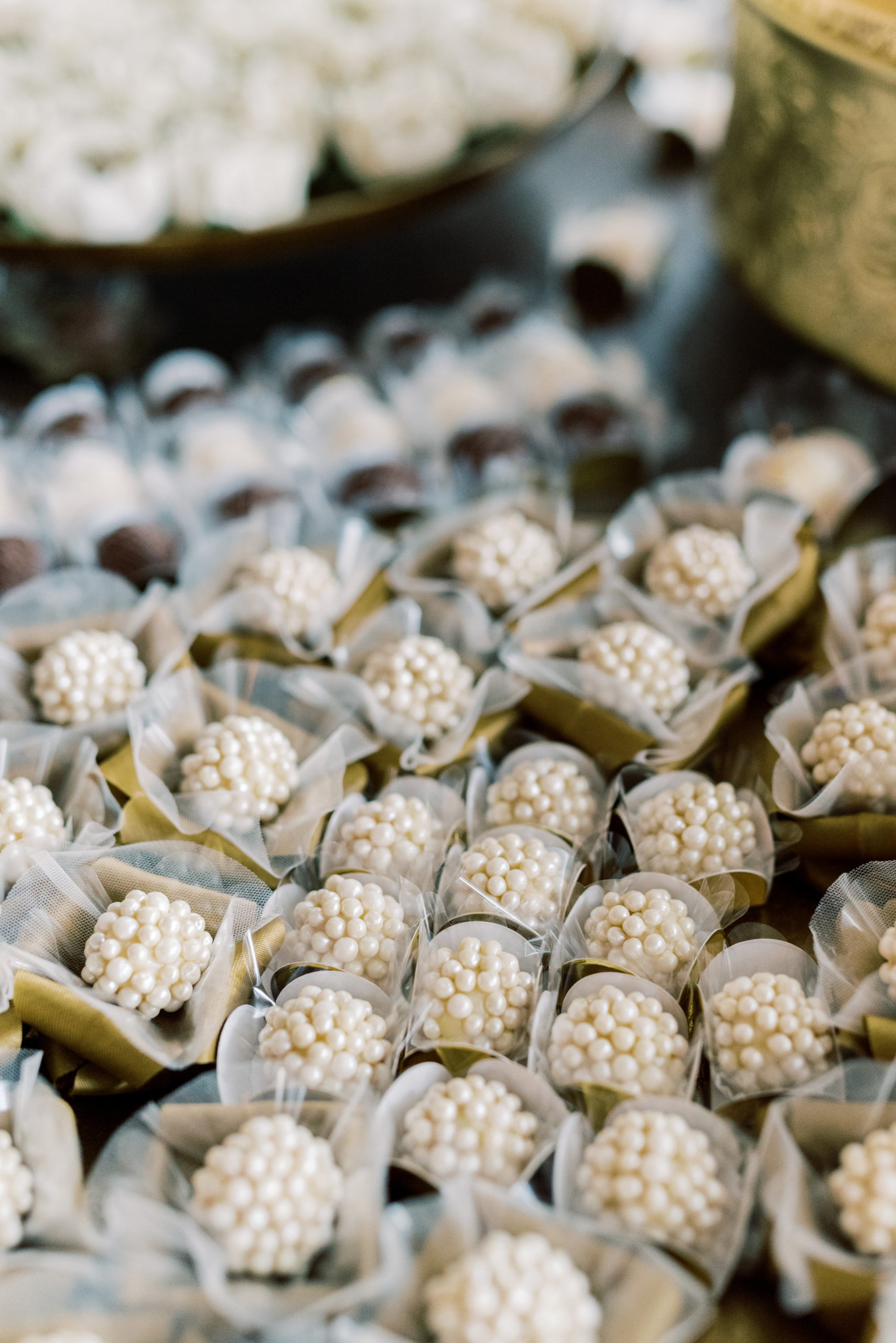 Patricia_Rahul_Wedding0395 maryland-wedding