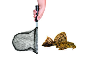 Something Was Missing From My Life, So I Got an Aquarium. Then the Fish Started Dying.